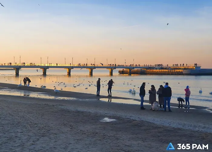 365pam - Family Mazowiecka Park - Plac Zabaw I Parking W Cenie Apartment